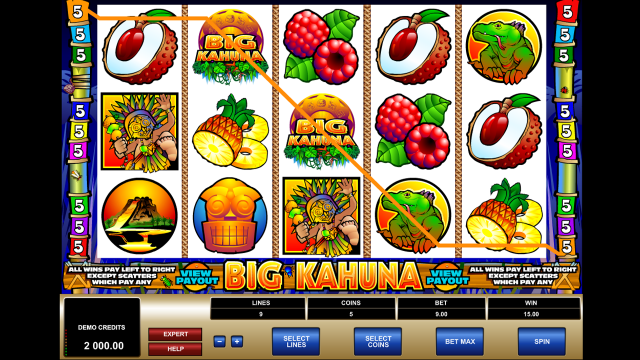 Характеристики слота Big Kahuna 7