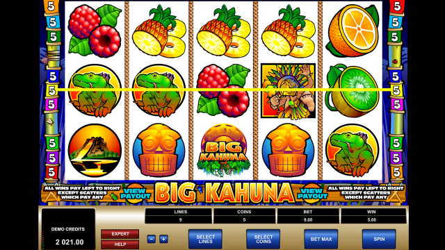 Игровой интерфейс Big Kahuna 6